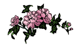floral.gif (9469 bytes)