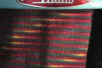 studio 21.jpg (183317 bytes)