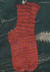 autumnsocks.jpg (38962 bytes)